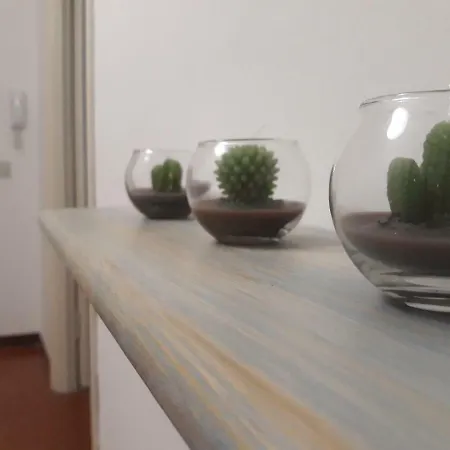 Apartment Flora House